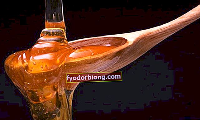 Hvad sker der, hvis du drikker honning med vand på tom mave?