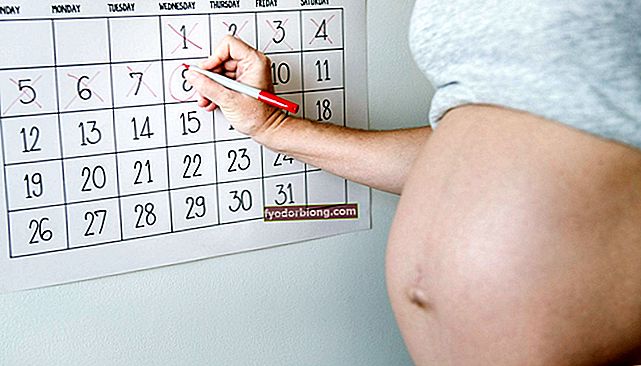 Laske raskaus - mistä tiedät kuinka monta viikkoa ja kuukautta olet?