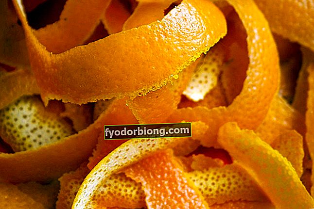 Appelsiinikuori - Edut, nieleminen ja reseptit kotona