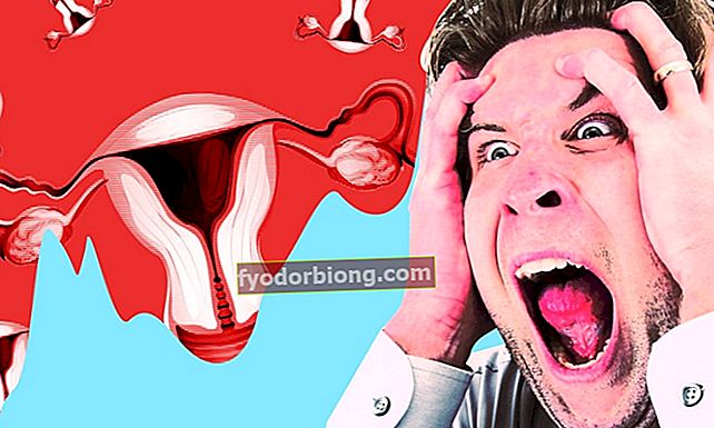 Menstruasjon: 10 vanlige tvil, myter og sannheter om emnet