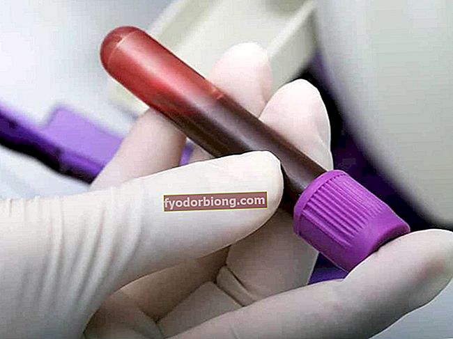 Krevní těhotenský test - jak to funguje a co je Beta HCG?