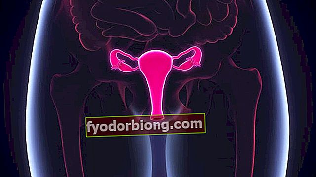 Estrogen - co to je, k čemu to je a jak to ovlivňuje zdraví žen
