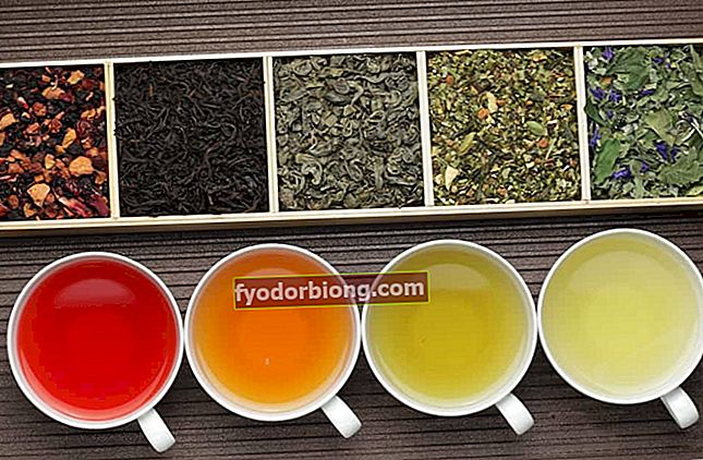 Diuretiske te - Effekter, hvordan man gør og kontraindikationer