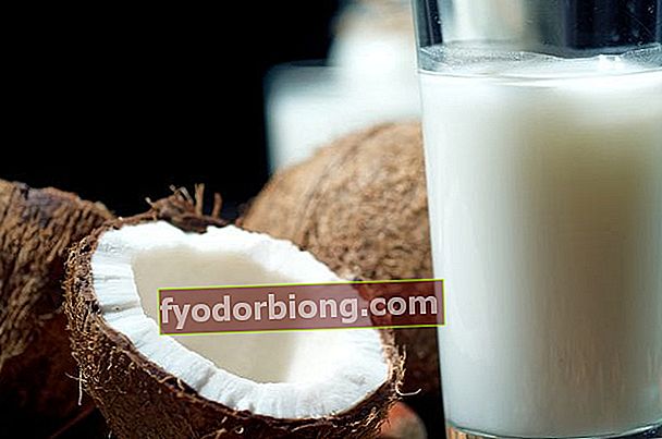 Kokosmælk - Fordele, næringsstoffer, tvivl og opskrifter